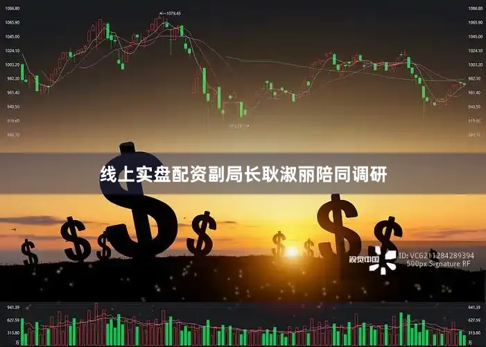 线上实盘配资副局长耿淑丽陪同调研