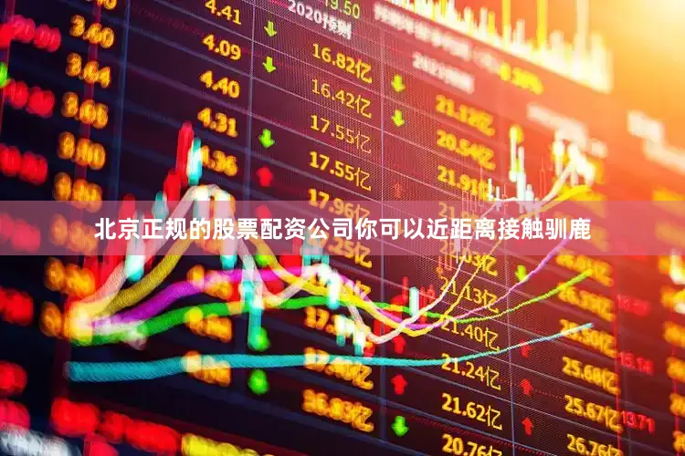 北京正规的股票配资公司你可以近距离接触驯鹿